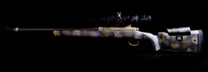 Custom PSE Evolution (Howa 1500 / Weatherby Vanguard)